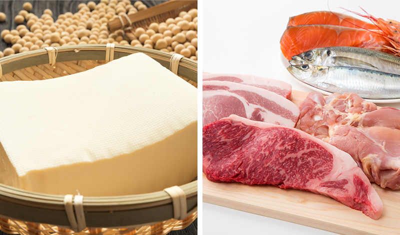 豆腐、肉、魚