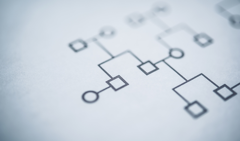 遺伝のイメージ