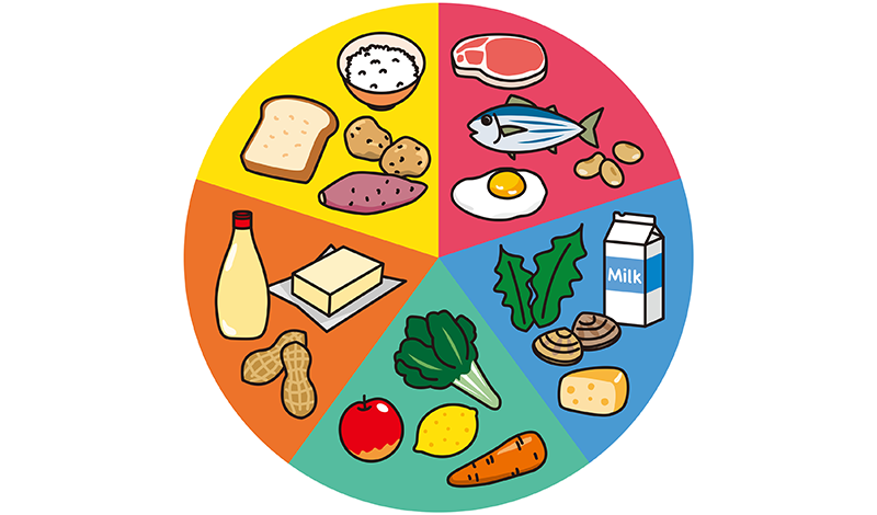 栄養バランスのイメージ