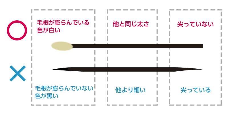 正常な髪の毛と異常がある髪の毛の比較
