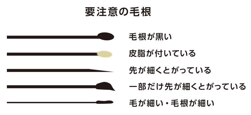 注意が必要な髪の毛