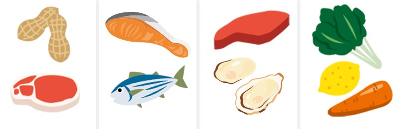 タンパク質、ミネラル、亜鉛、ビタミンが含まれる食材