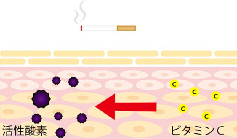 タバコによってビタミンCが減少