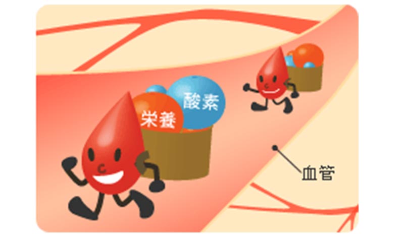 血管の中を流れる血液