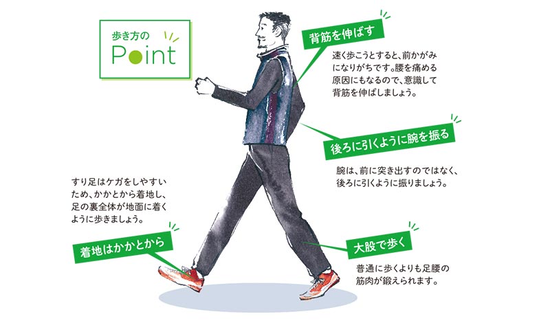 歩き方のPoint