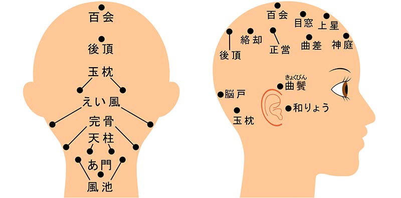 頭皮のツボ