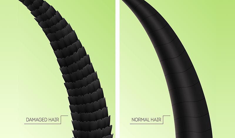 ダメージ毛と普通の毛