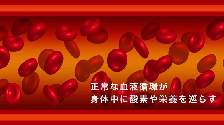 血管を流れる血液
