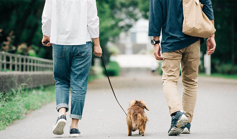 犬の散歩をするミドル夫婦