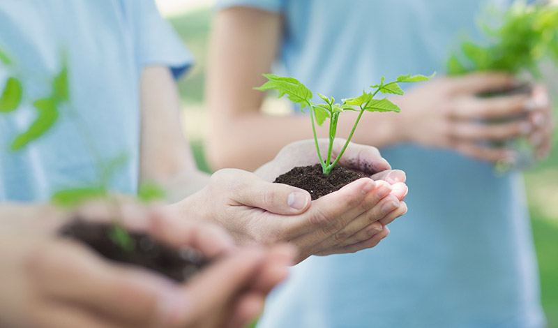 ボランティア活動