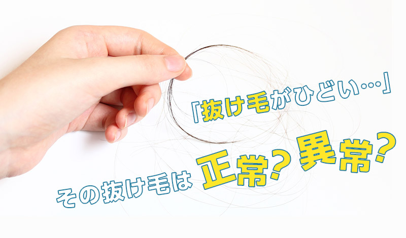 抜け毛がひどい と思ったら 正常か異常かの見極め方法と対策を解説 髪コト 頭髪を通じてライフスタイルを豊かにするための情報を発信