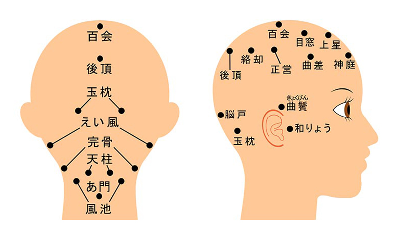 頭部のツボ一覧