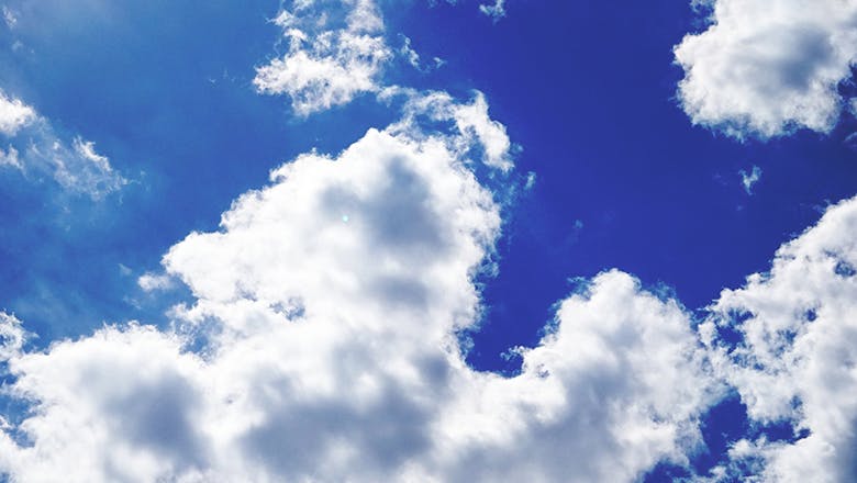 薄毛に悩む人に知ってもらいたいかつら事情、スヴェンソンVS夏！