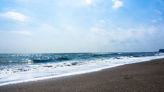 海の男が選んだ、スヴェンソン