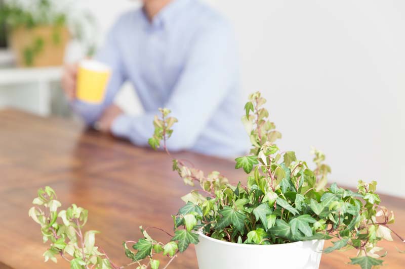 コーヒーを片手にくつろぐ