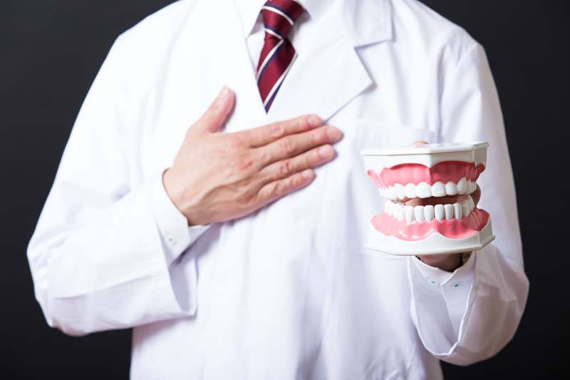 歯の模型を持つ医師