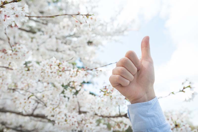桜とサムアップ