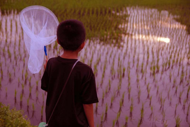 田舎の坊主の少年