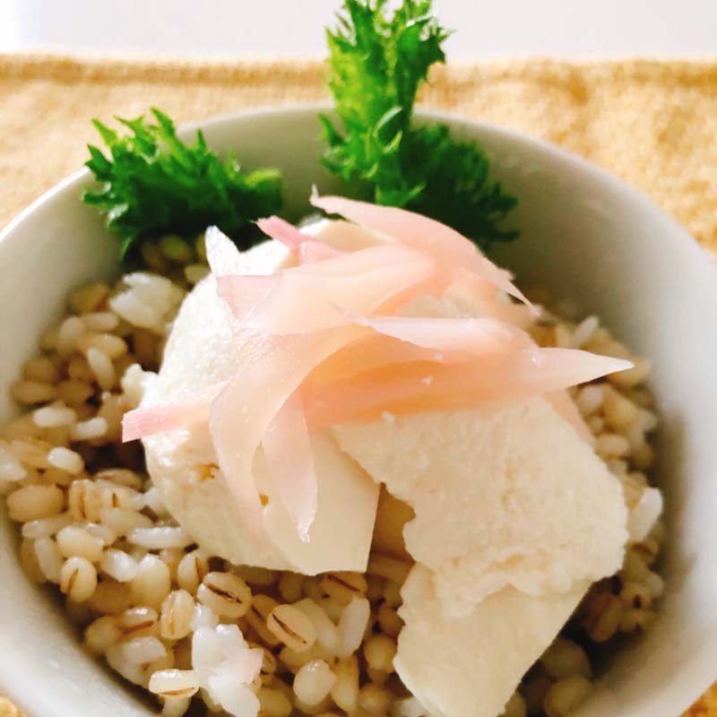 ハイプレッシャーサポート 豆腐丼