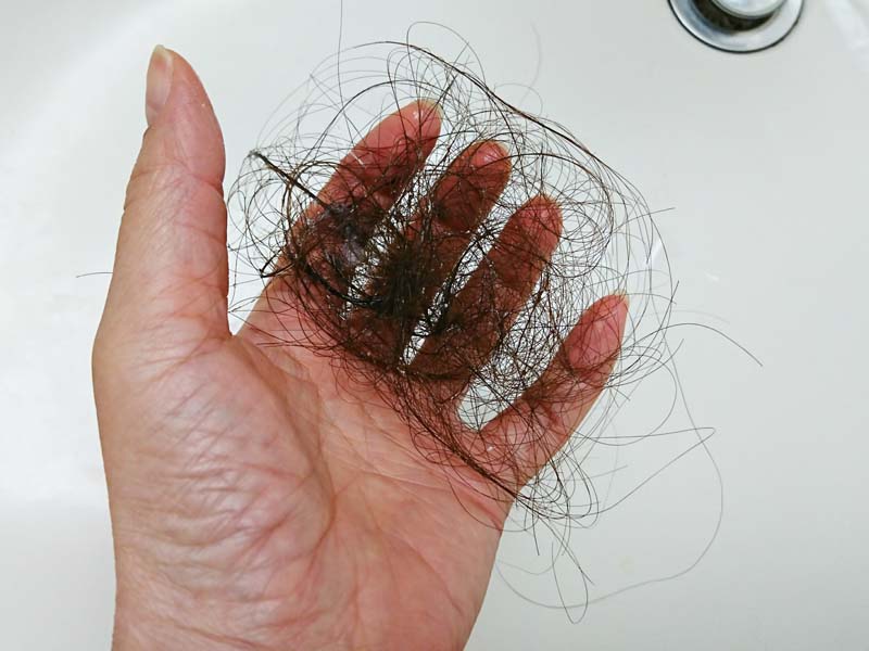 季節のせい 抜け毛が止まらない時に考えられる原因と対策 髪コト 頭髪を通じてライフスタイルを豊かにするための情報を発信