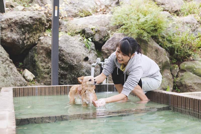 七沢荘 旧ペット用風呂の写真