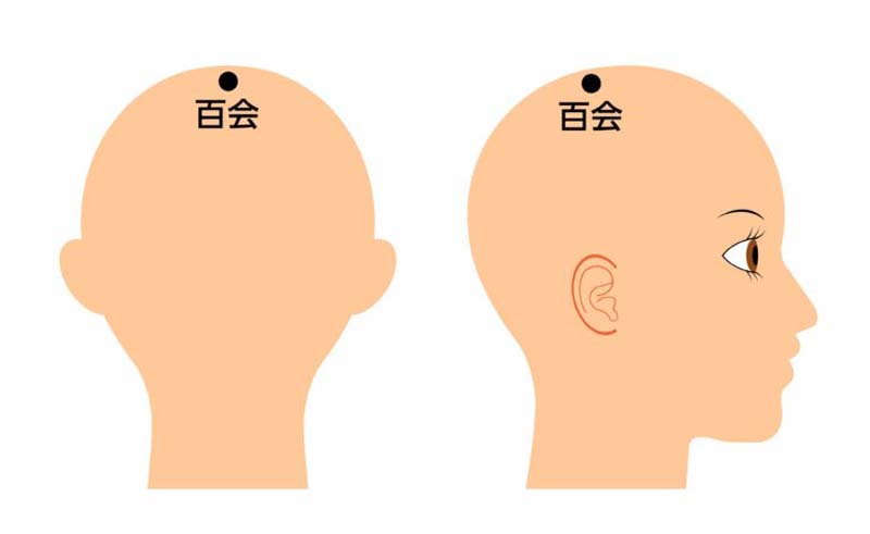 髪が頭のツボで甦った お客様からの質問です【45】『頭にもツボってあるの？』 | Rim