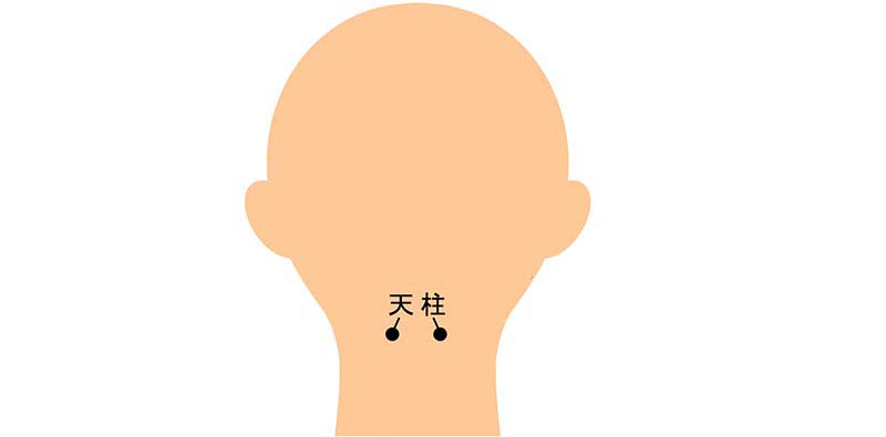 頭部のツボ「天柱(てんちゅう)」の位置を示したイラスト