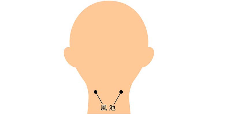 頭部のツボ「風池(ふうち)」の位置を示したイラスト