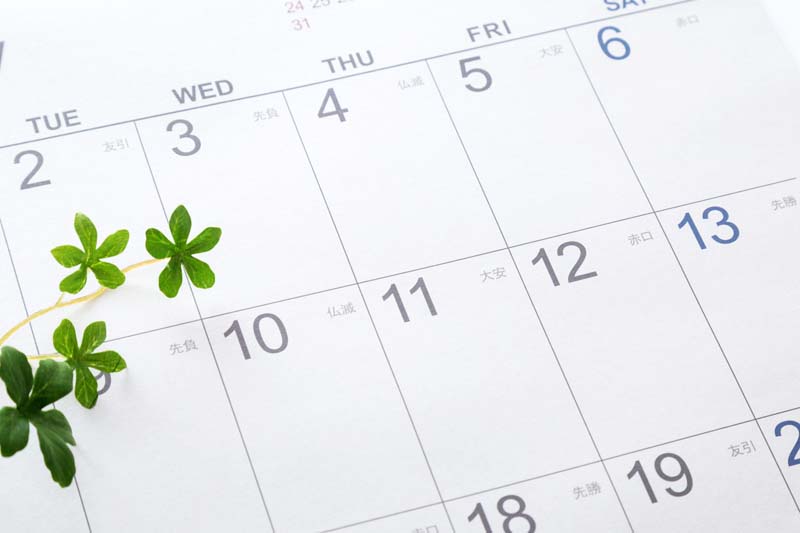 年間カレンダーのイメージ画像