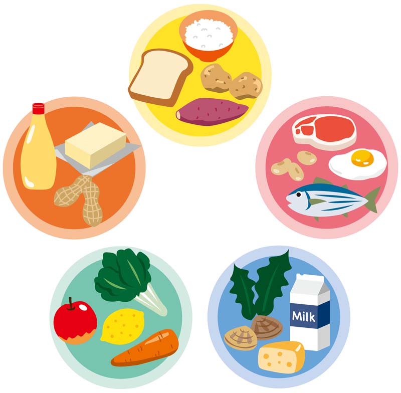 栄養素ごとに分類されたイラスト