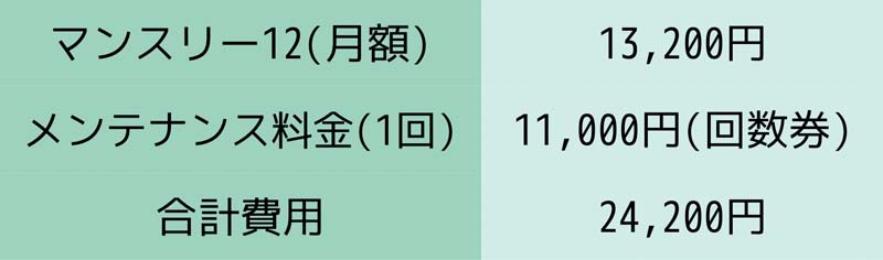 増髪で月に掛かる費用(税込)をまとめた表 マンスリー12(13,200円/月)+回数券でのメンテナンス料金(11,000円/回)=増髪費用(24,200円/月)