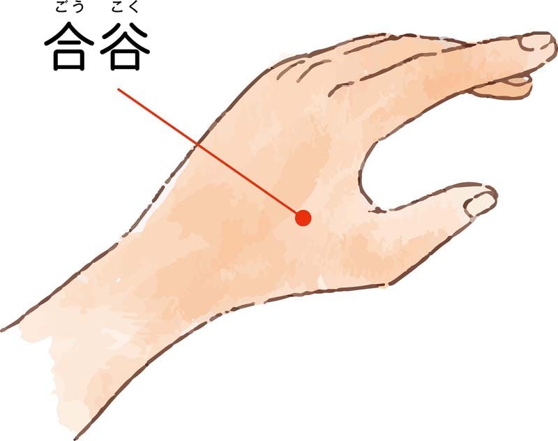合谷(ごうこく)のツボイラスト