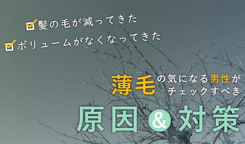 毛量が減った 薄毛が気になる男性のチェックすべき原因と対策 髪コト 頭髪を通じてライフスタイルを豊かにするための情報を発信 毛量が減った 薄毛が気になる男性のチェックすべき原因と対策 髪コト 頭髪を通じてライフスタイルを豊かにするための情報を発信