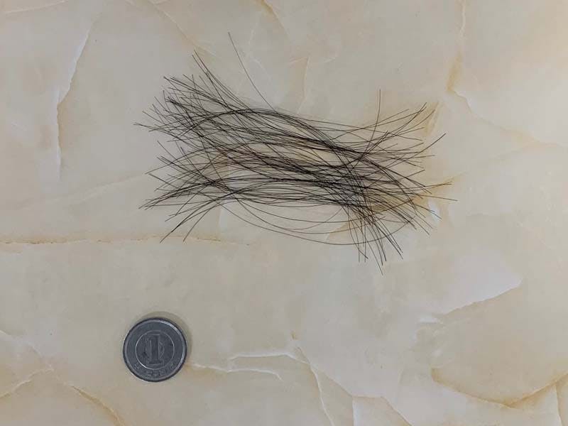 100本の抜け毛の量のイメージ画像