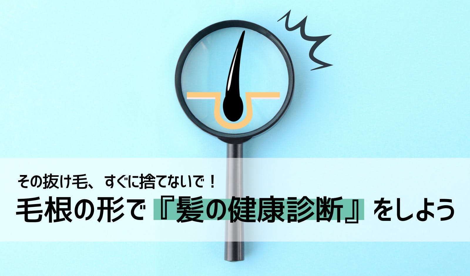 毛根の形で薄毛がわかる 毛根から髪の健康をみてみよう 髪コト 頭髪を通じてライフスタイルを豊かにするための情報を発信