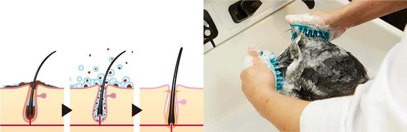 頭皮にかさぶたができる原因は はげと関係ある 治し方や予防対策 髪コト 頭髪を通じてライフスタイルを豊かにするための情報を発信 頭皮にかさぶたができる原因は はげと関係ある 治し方や予防対策 髪コト 頭髪を通じてライフスタイルを豊かにするための情報を発信