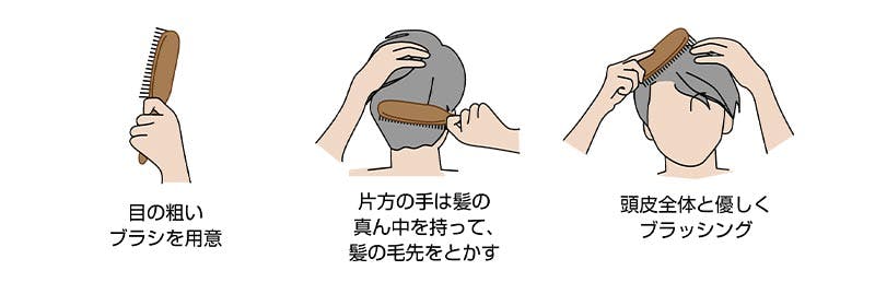 目の粗いブラシを用意　片方の手は髪の真ん中を持って、髪の毛先をとかす　頭皮全体を優しくブラッシング