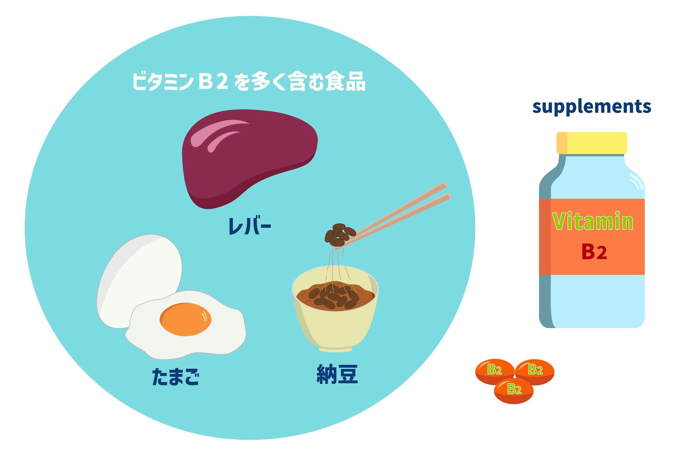 ビタミンBを多く含む食べ物とサプリメントのイラスト