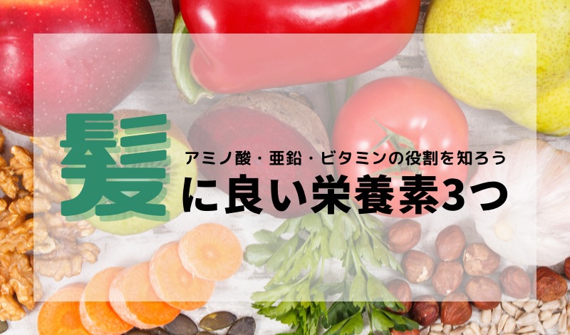 髪の毛に必要な栄養素「アミノ酸・亜鉛・ビタミン」の役割