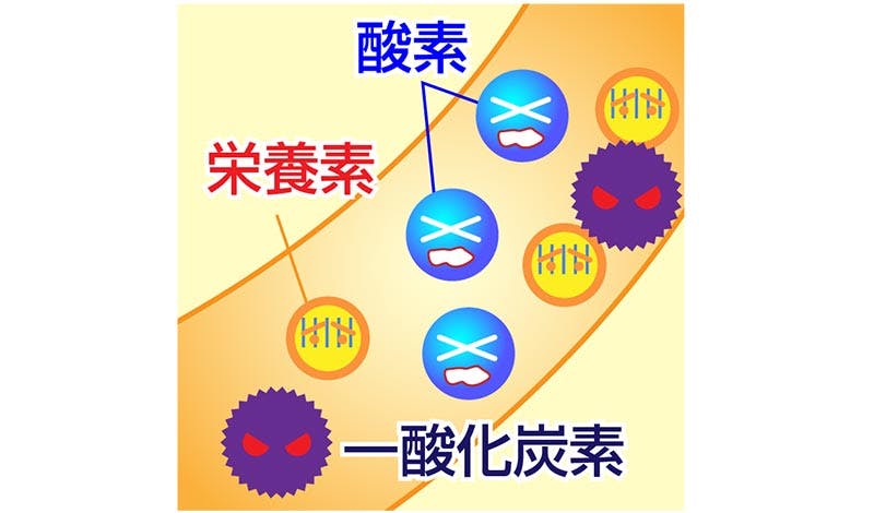 一酸化炭素が酸素と栄養素にダメージを与えているイメージイラスト