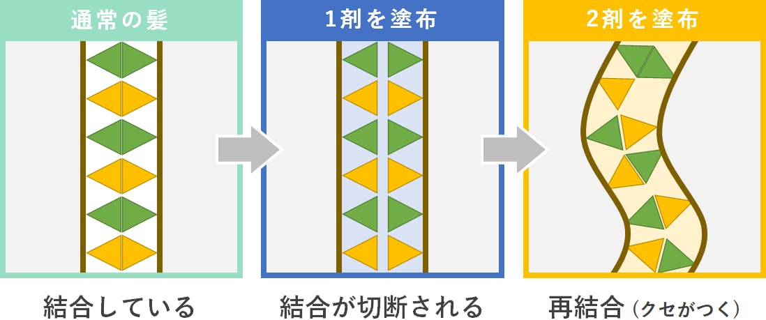 医師監修】パーマは薄毛に安心？パーマ液がもたらす頭皮への影響 | 頭皮のお悩み