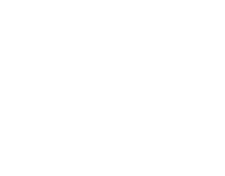 オリジナルヘアコーティング・ヘアライズ®