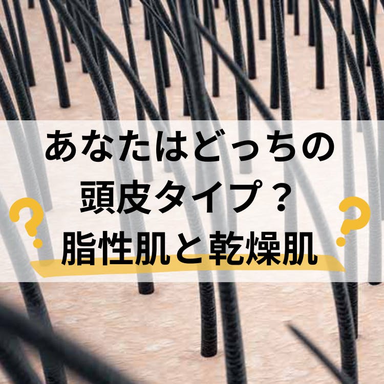 ハールトン　メルマガヘッダー