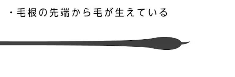 86a177ccfcd65cc937c0984849310514