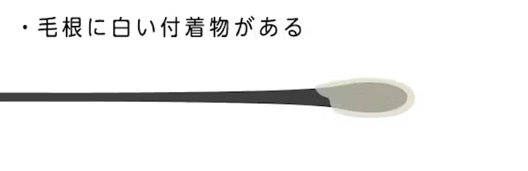 F49dd05bab0f7abff87dd4ddc8f0a294
