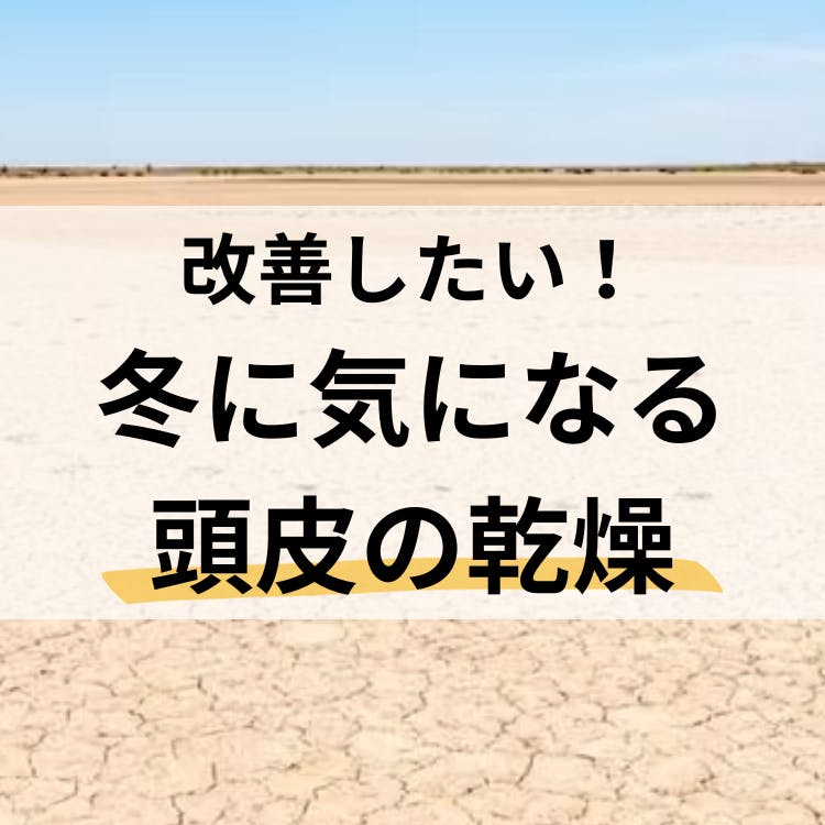 改善したい！冬に気になる頭皮の乾燥