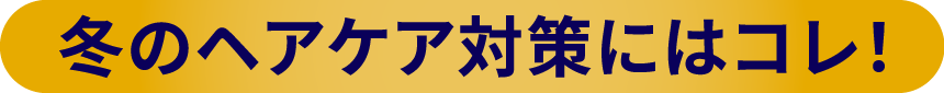 冬のヘアケア対策にはコレ！