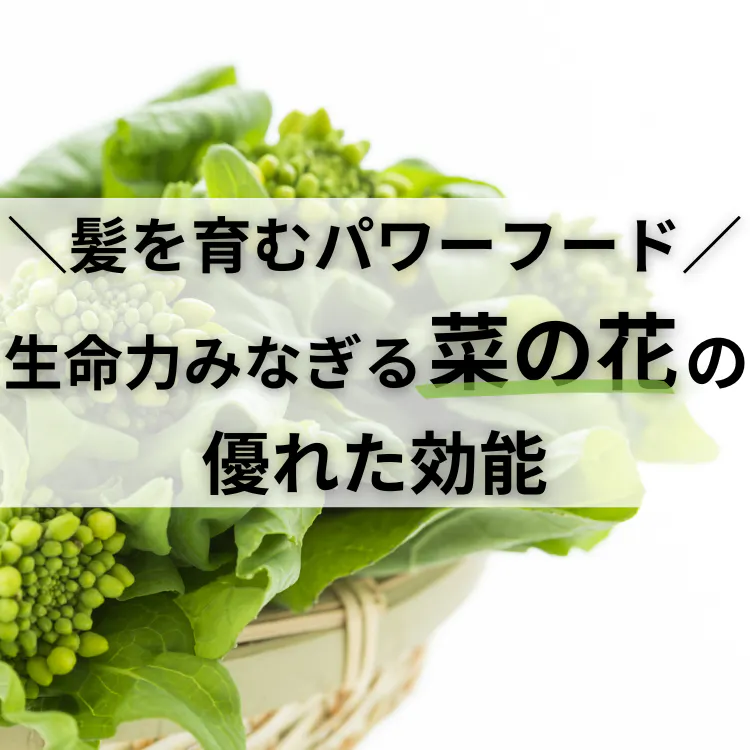 髪を育むパワーフード！生命力みなぎる菜の花の優れた効能 | 増毛から 