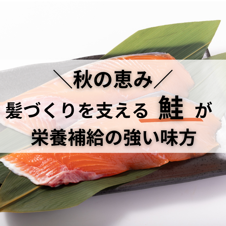 髪トレ飯 2026秋 鮭